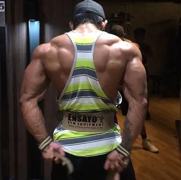 Quod machinis potest instituendi vestri tergum musculi?