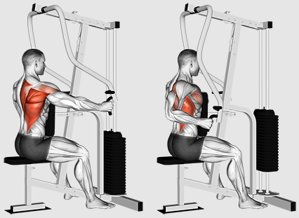 Si enim focus in ordines aut trahit ad bonum tergum disciplina?