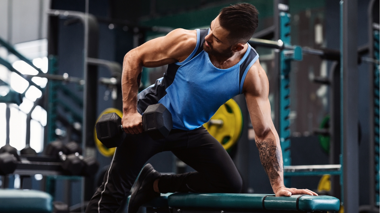 Quod gym Equipment est aptissimus pro Musculus edificium?
