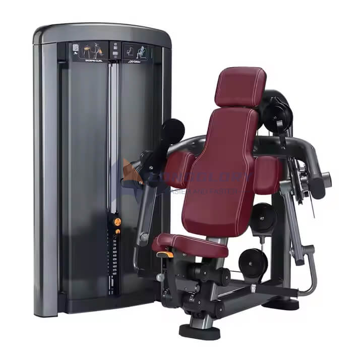 Bicep Crispum et Triceps Apparatus