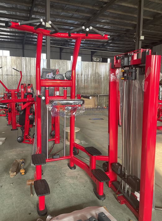 Pin Loaded Assist Dip Chin