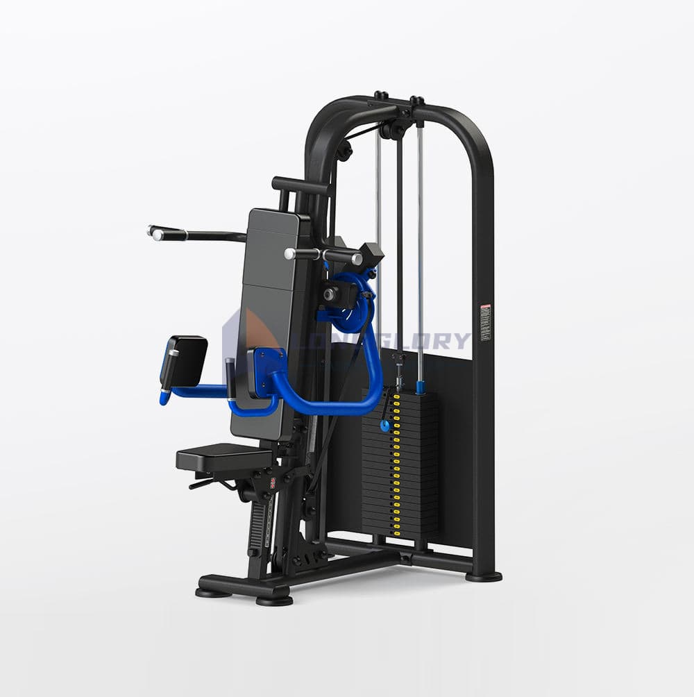 Pin Loaded sedet lateralis Raise